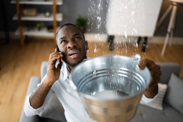Best Professional water damage repair  in Barnum Island, NY