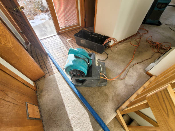 Best Water damage restoration near me  in Barnum Island, NY