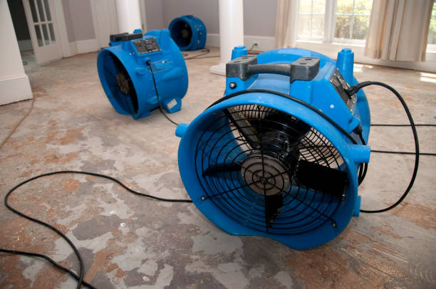 Best Water damage restoration process  in Barnum Island, NY