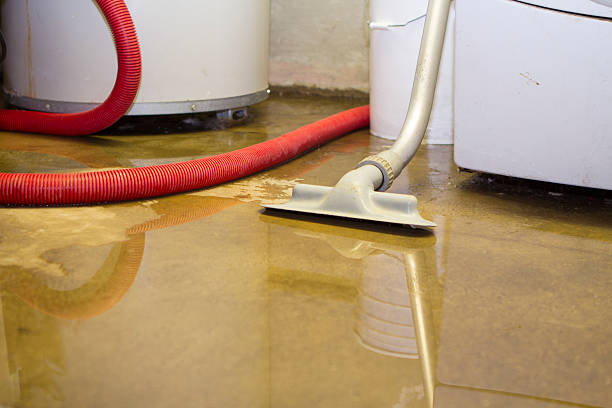 Best Basement water damage restoration  in Barnum Island, NY
