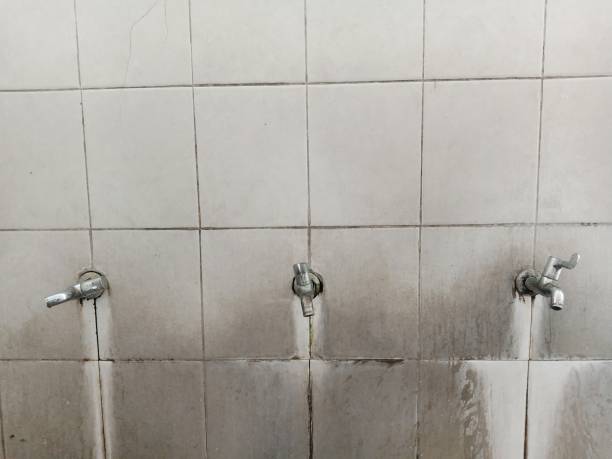 Best Carpet water damage restoration  in Barnum Island, NY