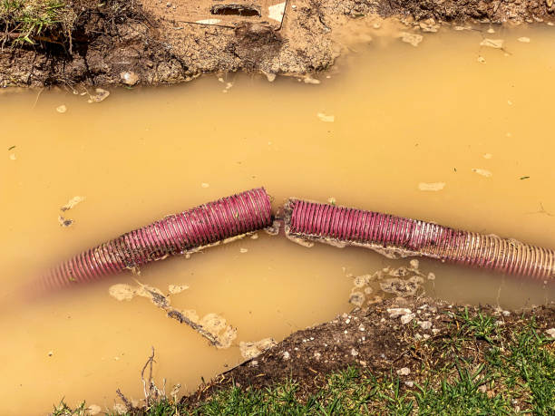 Best Sewage cleanup and water damage restoration  in Barnum Island, NY