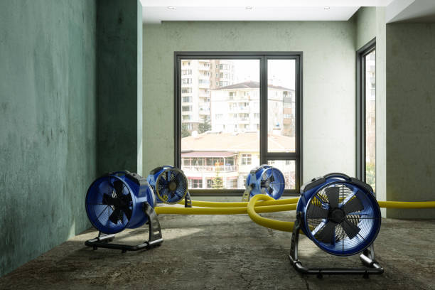 Best Water damage restoration services  in Barnum Island, NY